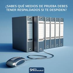Respaldo de Medios de Prueba